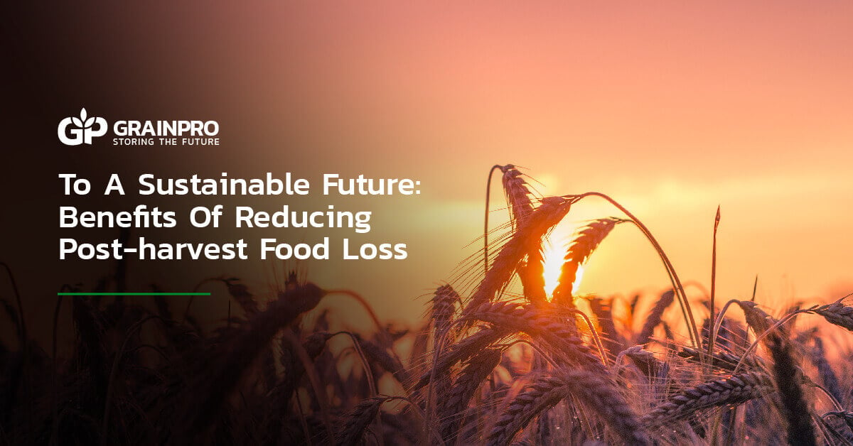 To A Sustainable Future: Benefits Of Reducing Post-harvest Food Loss